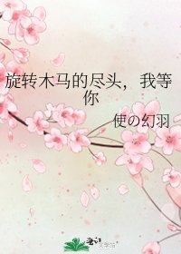 旋转木马的尽头，我等你