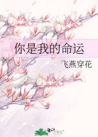 你是我的命运