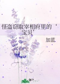 《怪盗窃取宰相府里的‘宝贝’》