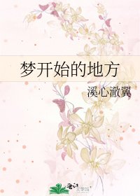 梦开始的地方