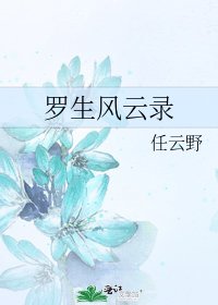 《罗生风云录》