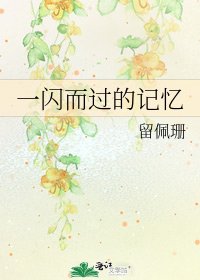 一闪而过的记忆