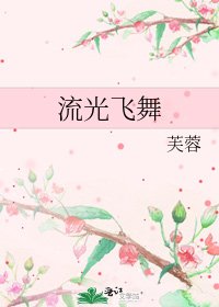 《流光飞舞》