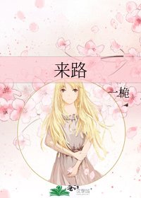 来路