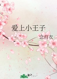 《爱上小王子》