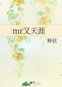 《mr又天涯》