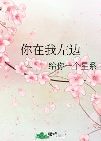 《你在我左边》