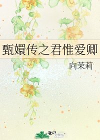 甄嬛传之君惟爱卿
