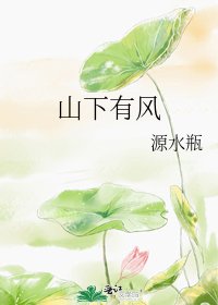 《山下有风》