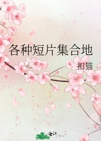 《各种短片集合地》