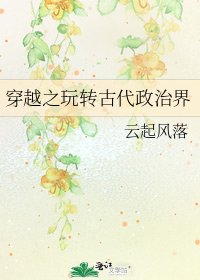 穿越之玩转古代政治界