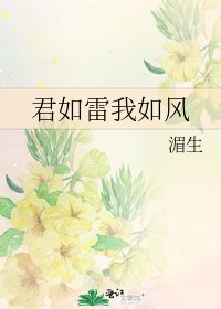 君如雷我如风