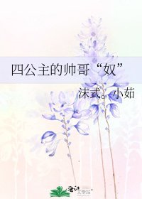 《四公主的帅哥“奴”》