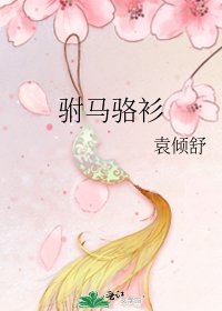 驸马骆衫