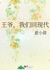 王爷，我们回现代