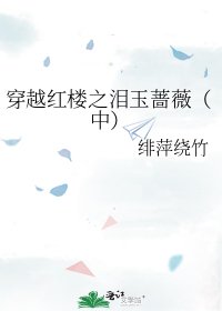 穿越红楼之泪玉蔷薇（中）