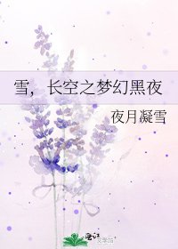 雪，长空之梦幻黑夜