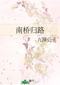 南桥归路