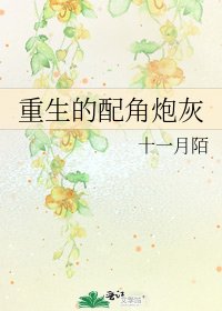 重生的配角炮灰