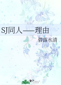 SJ同人——理由