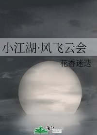 小江湖·风飞云会