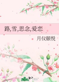 《路,雪,思念,爱恋》