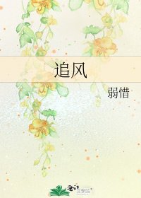 追风