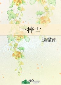 《一捧雪》