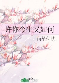 许你今生又如何