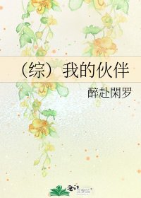 《(综)我的伙伴》