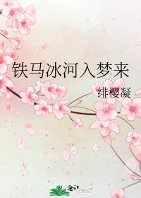 《铁马冰河入梦来》