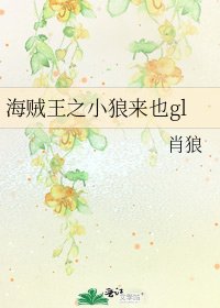 海贼王之小狼来也gl