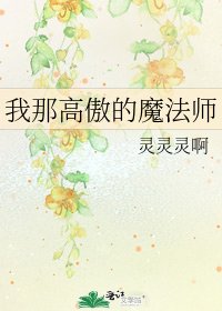 我那高傲的魔法师