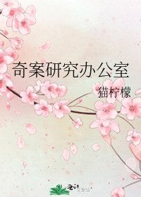 奇案研究办公室