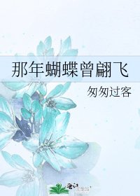 那年蝴蝶曾翩飞