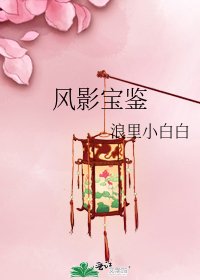 风影宝鉴