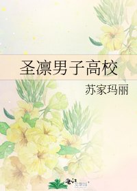 圣凛男子高校