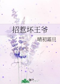 招惹坏王爷