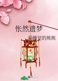 怅然遗梦
