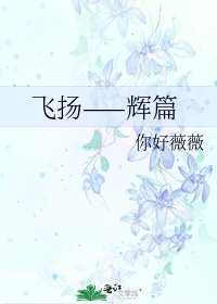 飞扬——辉篇