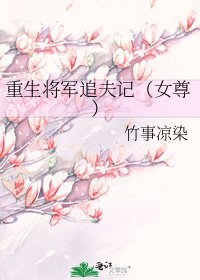 《重生将军追夫记(女尊)》