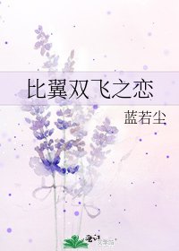 《比翼双飞之恋》