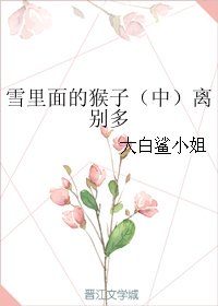 《雪里面的猴子(中)离别多》