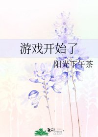 游戏开始了