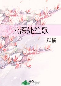 《云深处笙歌》