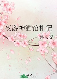 夜游神酒馆札记