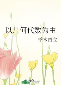 以几何代数为由