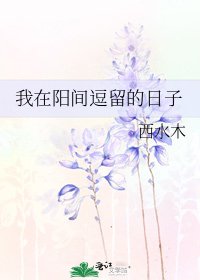 《我在阳间逗留的日子》