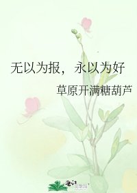 无以为报，永以为好