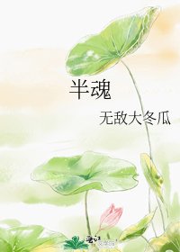 《半魂》
